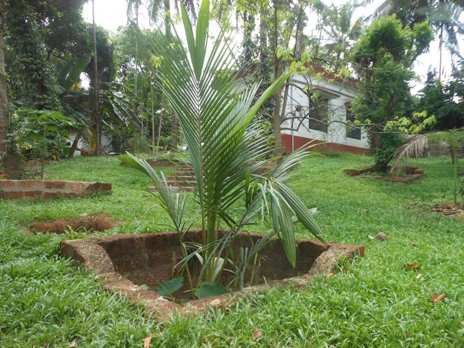Runnin Airport - Homestay Gurpur Ngoại thất bức ảnh