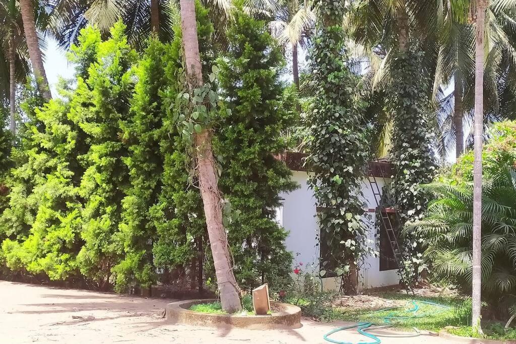 Runnin Airport - Homestay Gurpur Ngoại thất bức ảnh