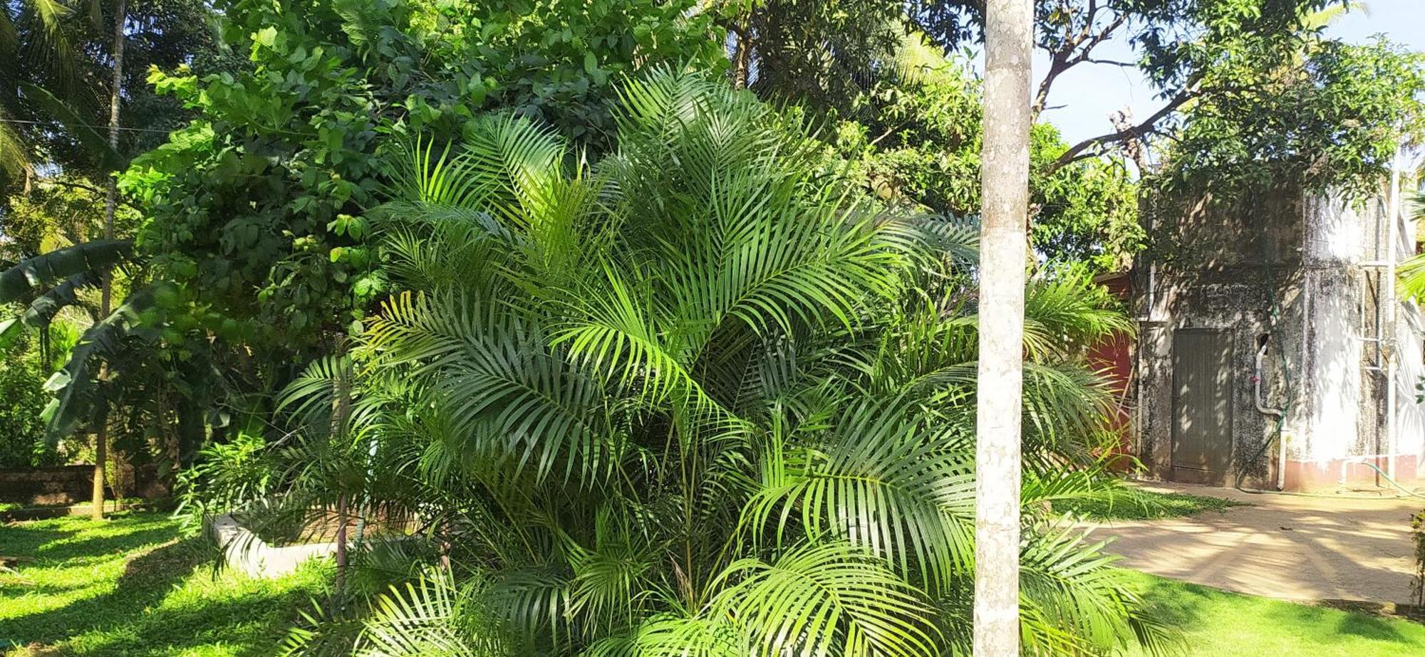 Runnin Airport - Homestay Gurpur Ngoại thất bức ảnh
