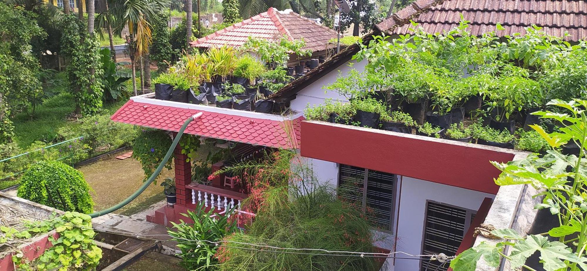 Runnin Airport - Homestay Gurpur Ngoại thất bức ảnh