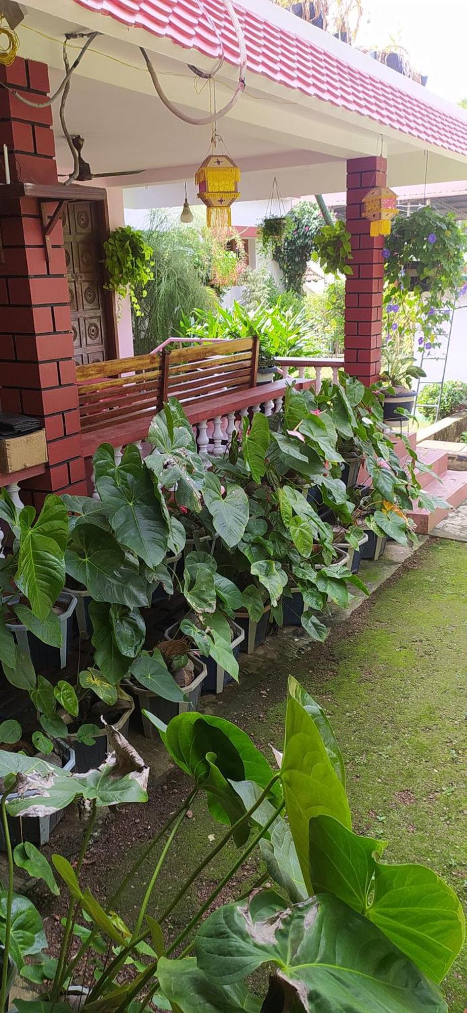 Runnin Airport - Homestay Gurpur Ngoại thất bức ảnh