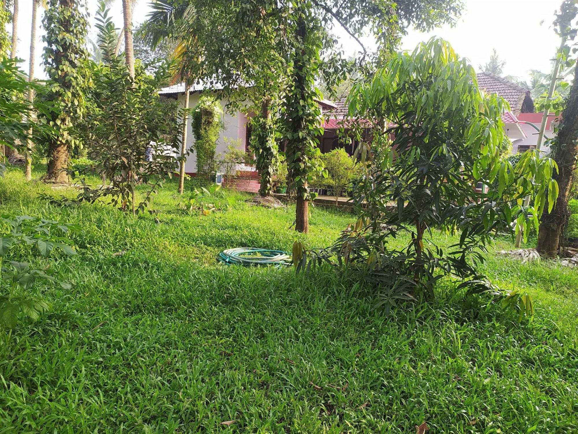 Runnin Airport - Homestay Gurpur Ngoại thất bức ảnh